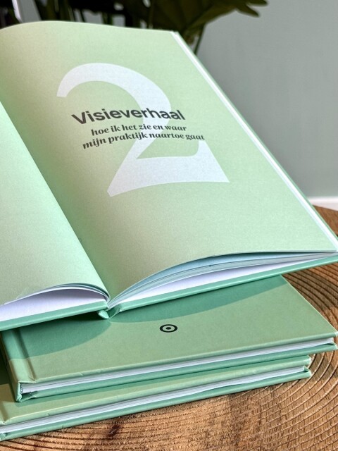 Strategie als Therapie boekje 2